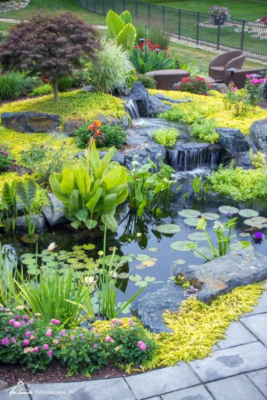 How to Plant a Pond