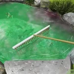 How to Remove Algae from Pond Without Harming Fish