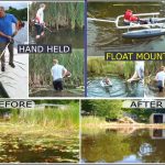 How to Remove Cattails from a Pond