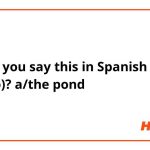 How to Say Pond in Spanish