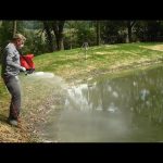 How to Seal a Leaking Pond