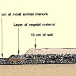 How to Seal a Pond With Water in It