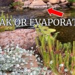 How to Tell If a Pond is Leaking Or Evaporating