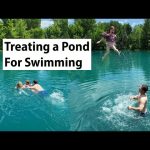 How to Treat a Pond for Swimming