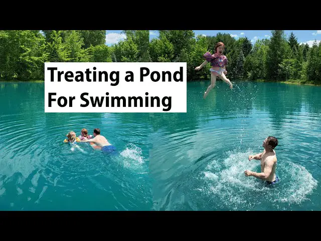 How to Treat a Pond for Swimming