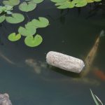 How to Use Barley Straw in a Pond