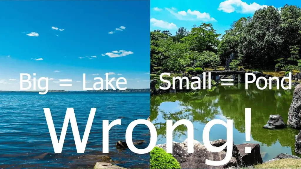 What Difference between a Lake And a Pond