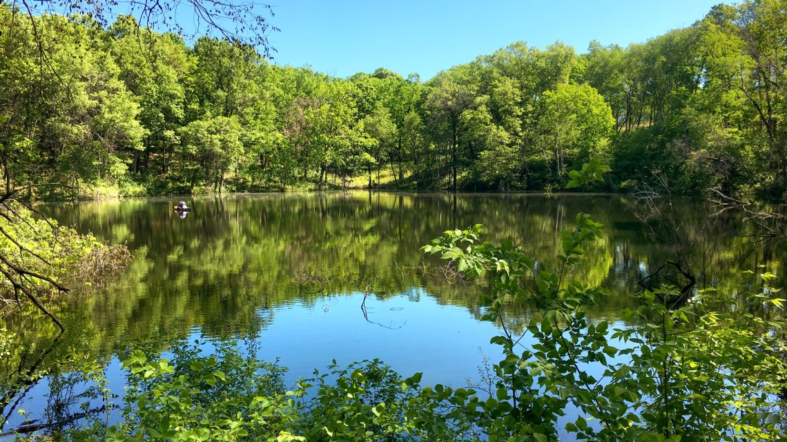What is a Pond Unveiling Nature's Serene Oasis