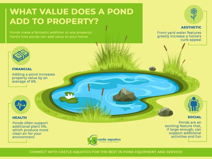 Does a Pond Increase Property Value