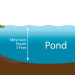 How Deep are Ponds