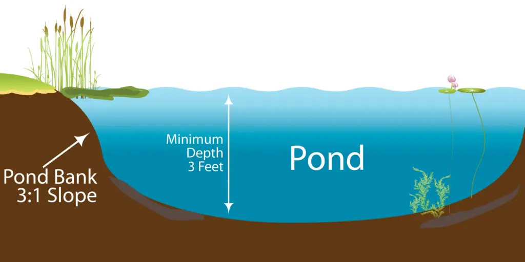 How Deep are Ponds