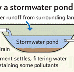 How Deep is a Retention Pond