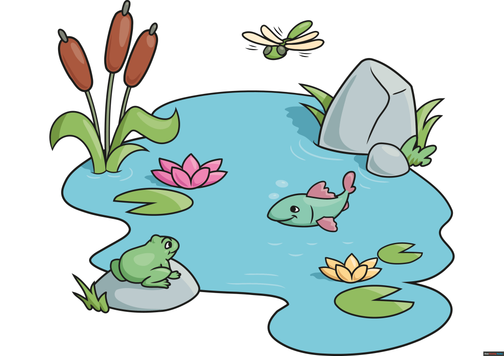 How Do You Draw a Pond