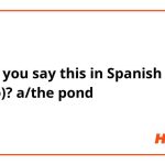 How Do You Say Pond in Spanish