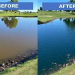 How Long Does Pond Dye Last