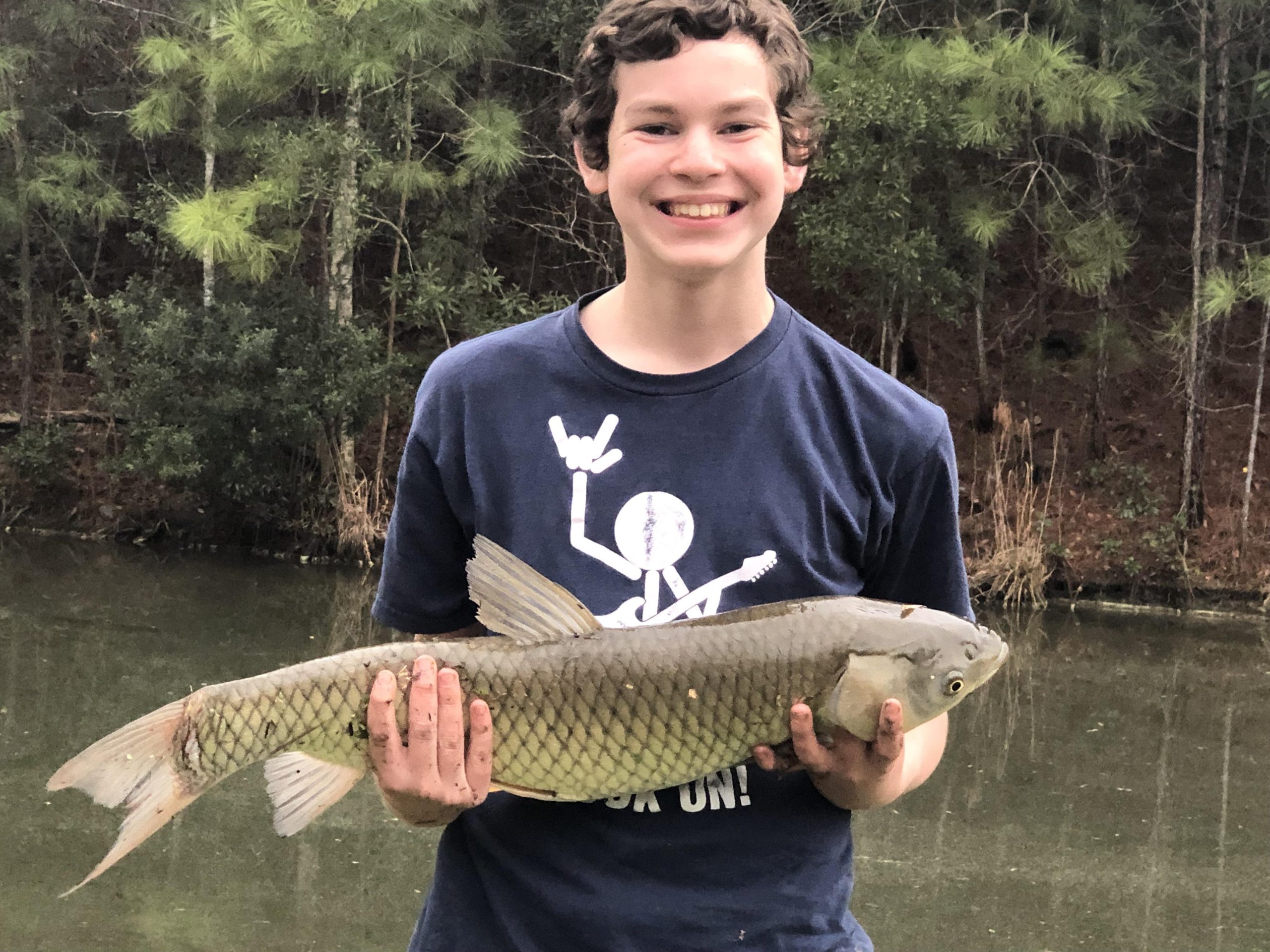 How Many Grass Carp for a 1/2 Acre Pond: Optimal Stocking