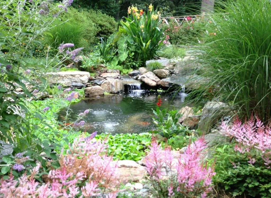 How Much Does a Koi Pond Cost