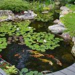 How Much is a Koi Pond