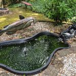 How to Build a Backyard Fish Pond