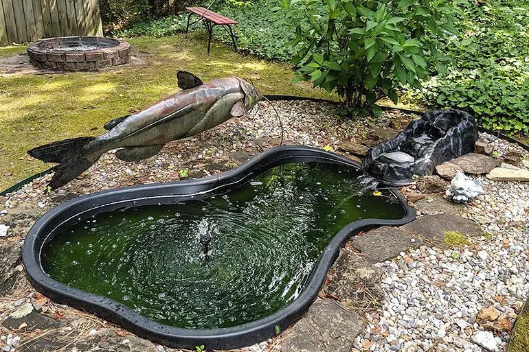 How to Build a Backyard Fish Pond