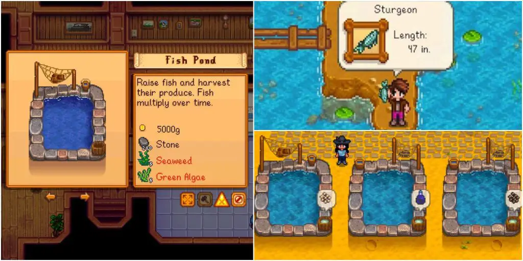 How to Build a Fish Pond Stardew Valley