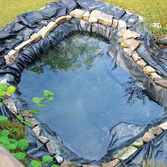 How to Build a Frog Pond