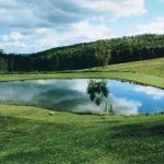 How to Build a Large Pond in Your Backyard