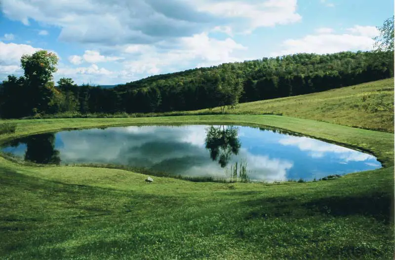 How to Build a Large Pond in Your Backyard