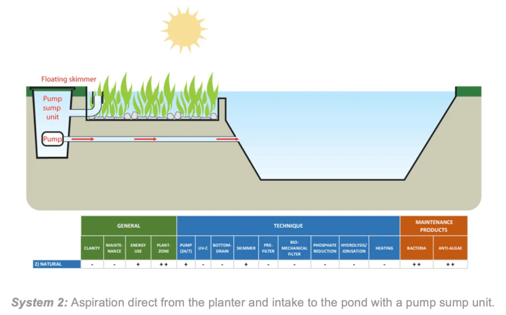 How to Build a Natural Pond Filter