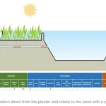 How to Build a Natural Pond Filter