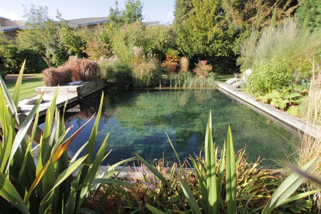 How to Build a Natural Pond for Swimming