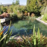 How to Build a Natural Pond for Swimming