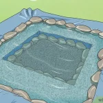 How to Build a Natural Swimming Pond Step by Step