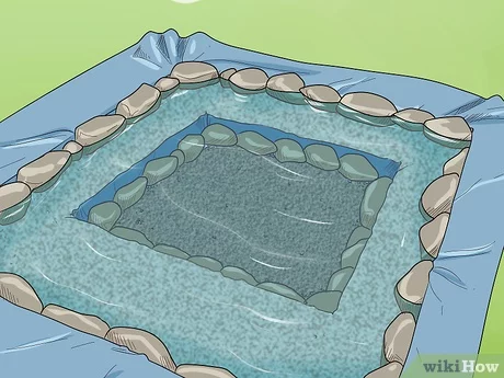 How to Build a Natural Swimming Pond Step by Step