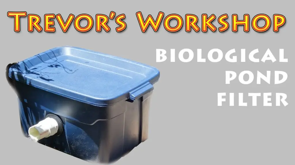 How to Build a Pond Bio Filter