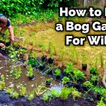 How to Build a Pond Bog