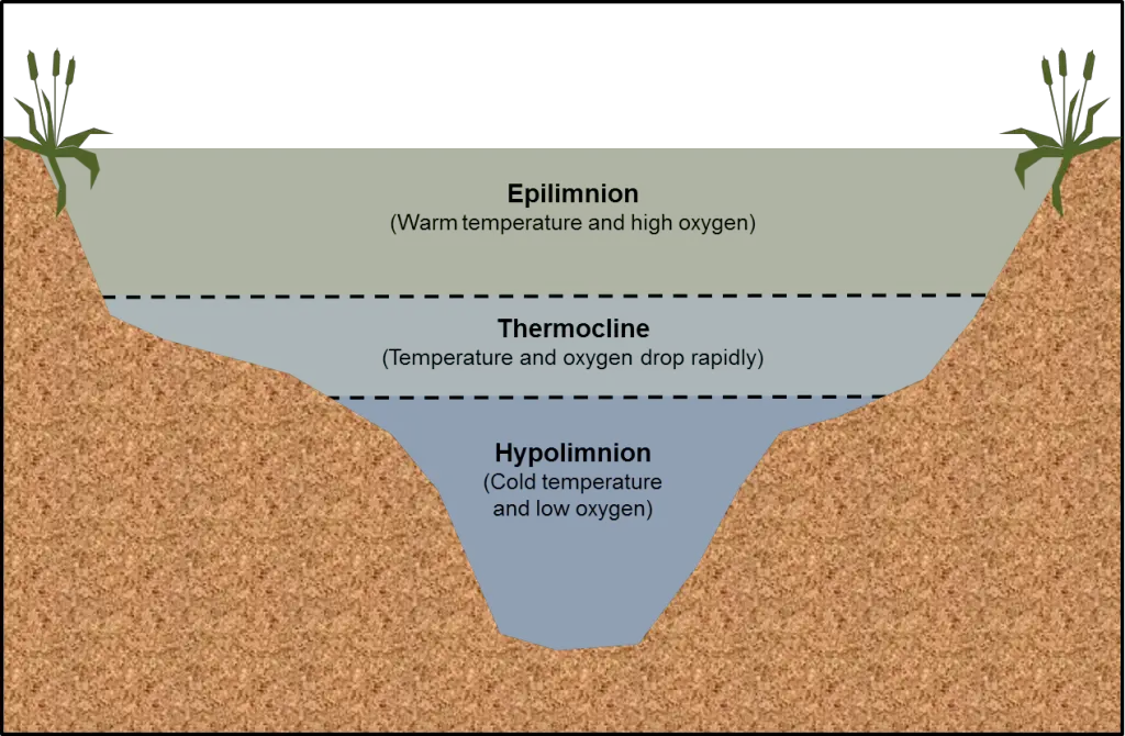 How to Build a Pond Dam