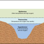 How to Build a Pond Dam