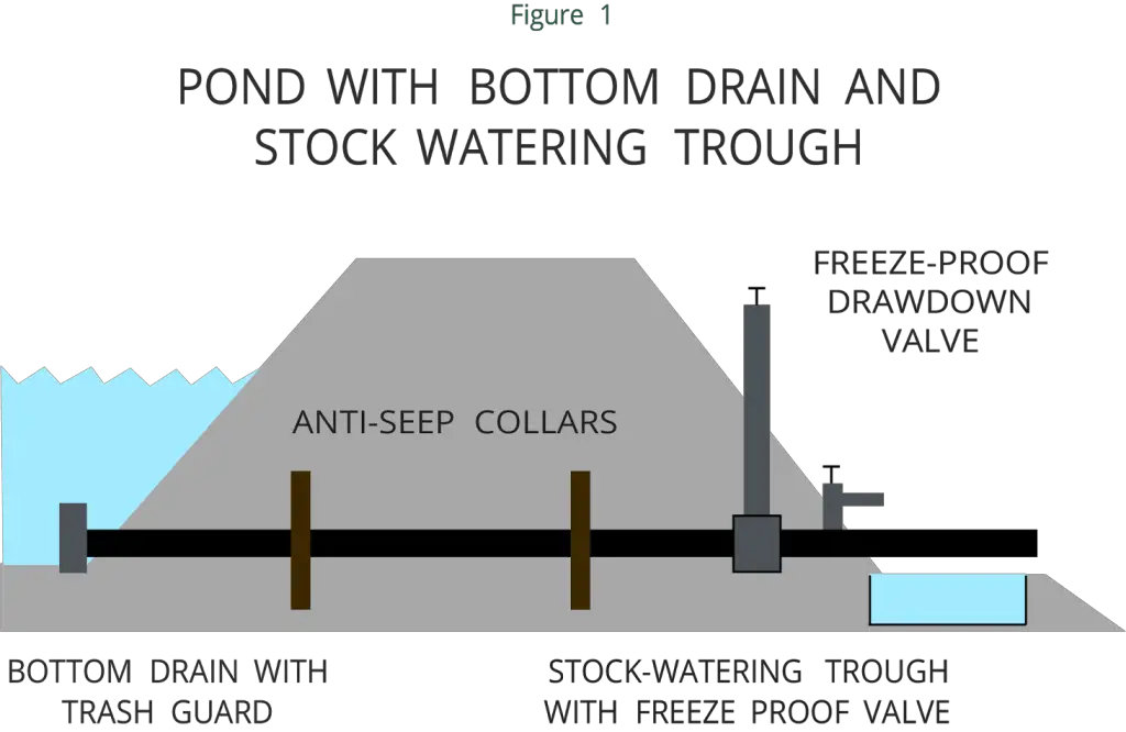 How to Build a Pond Drain