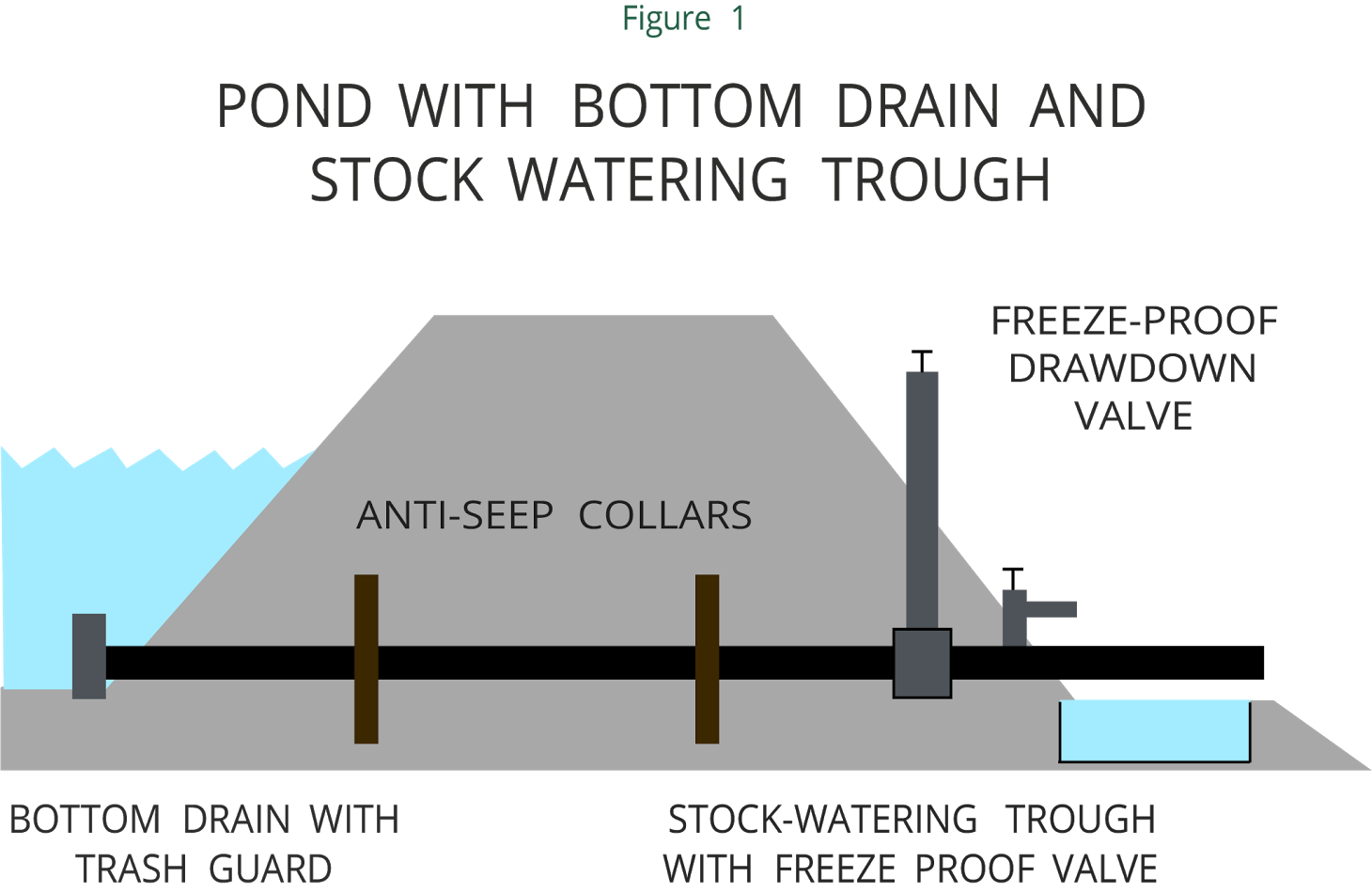 How to Build a Pond Drain: Easy DIY Guide for Homeowners