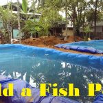 How to Build a Pond for Fish Farming