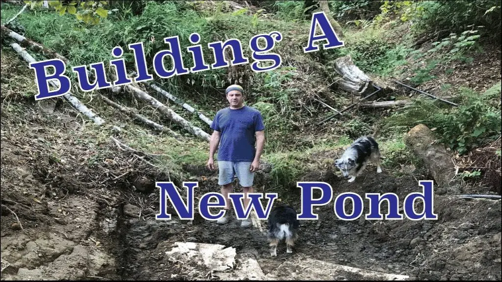 How to Build a Pond from a Creek