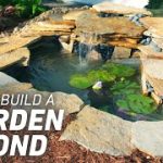 How to Build a Pond from Scratch