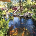 How to Build a Pond in Arizona