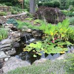 How to Build a Pond on a Hill