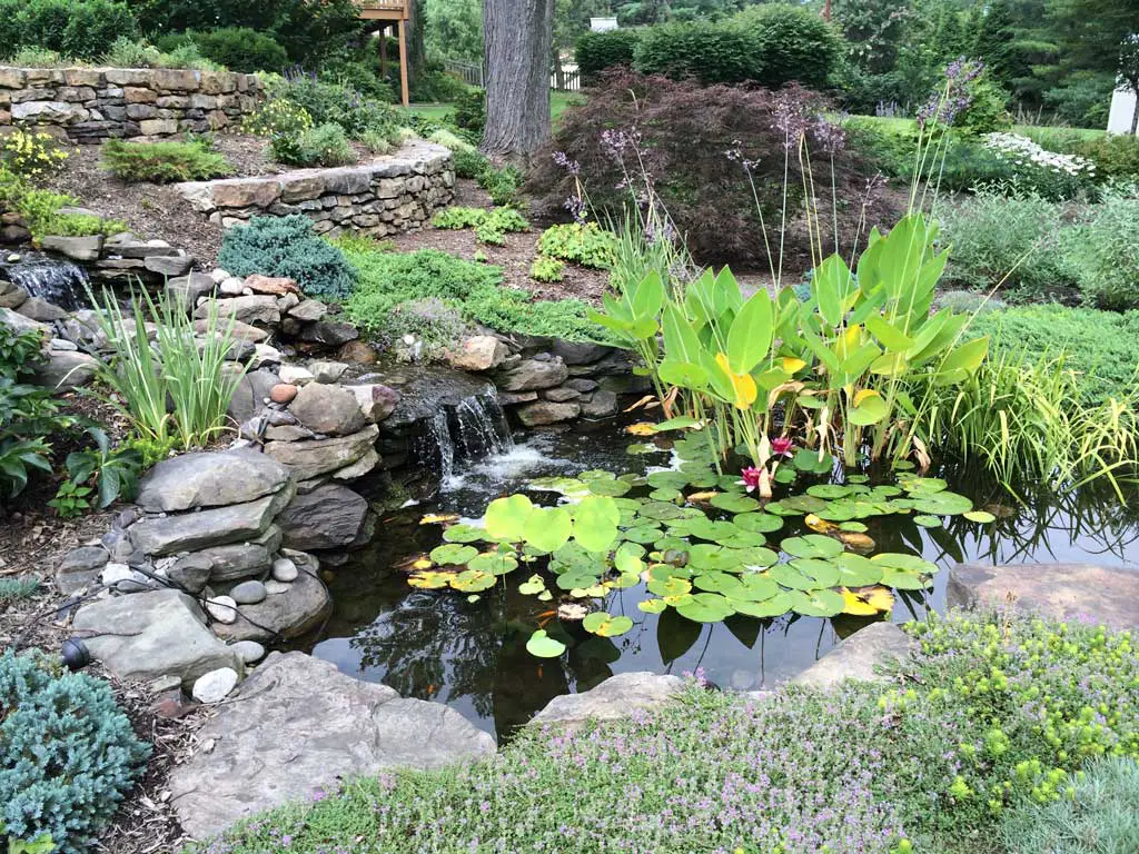 How to Build a Pond on a Hill