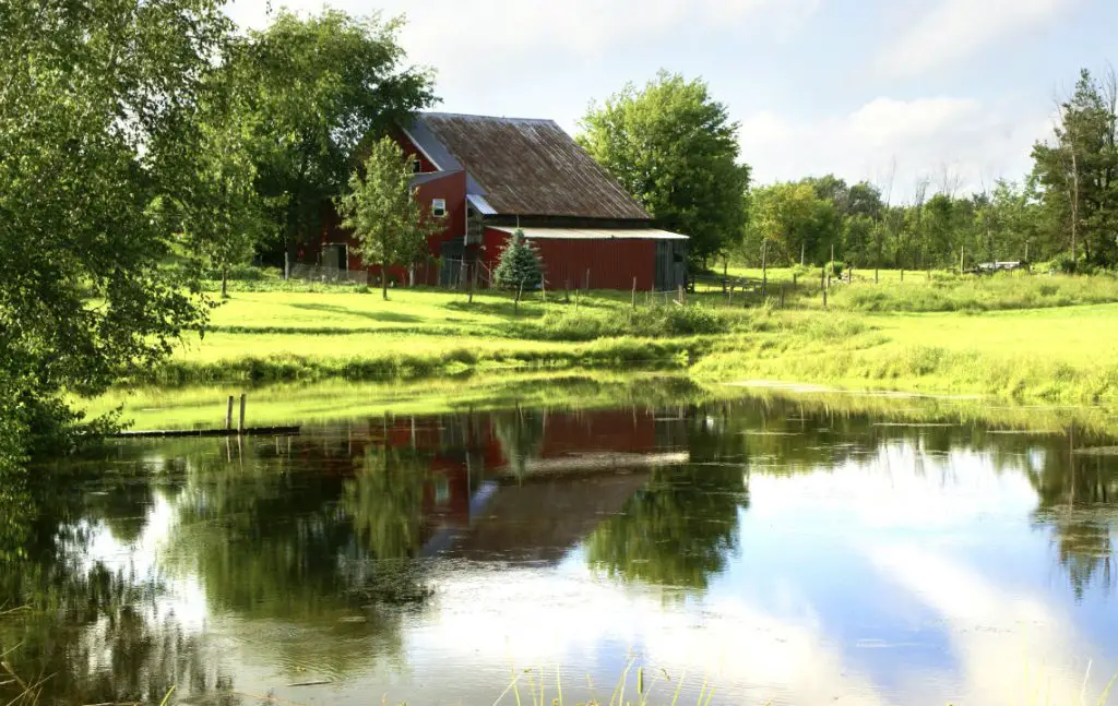 How to Build a Pond on Your Land