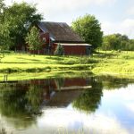 How to Build a Pond on Your Property