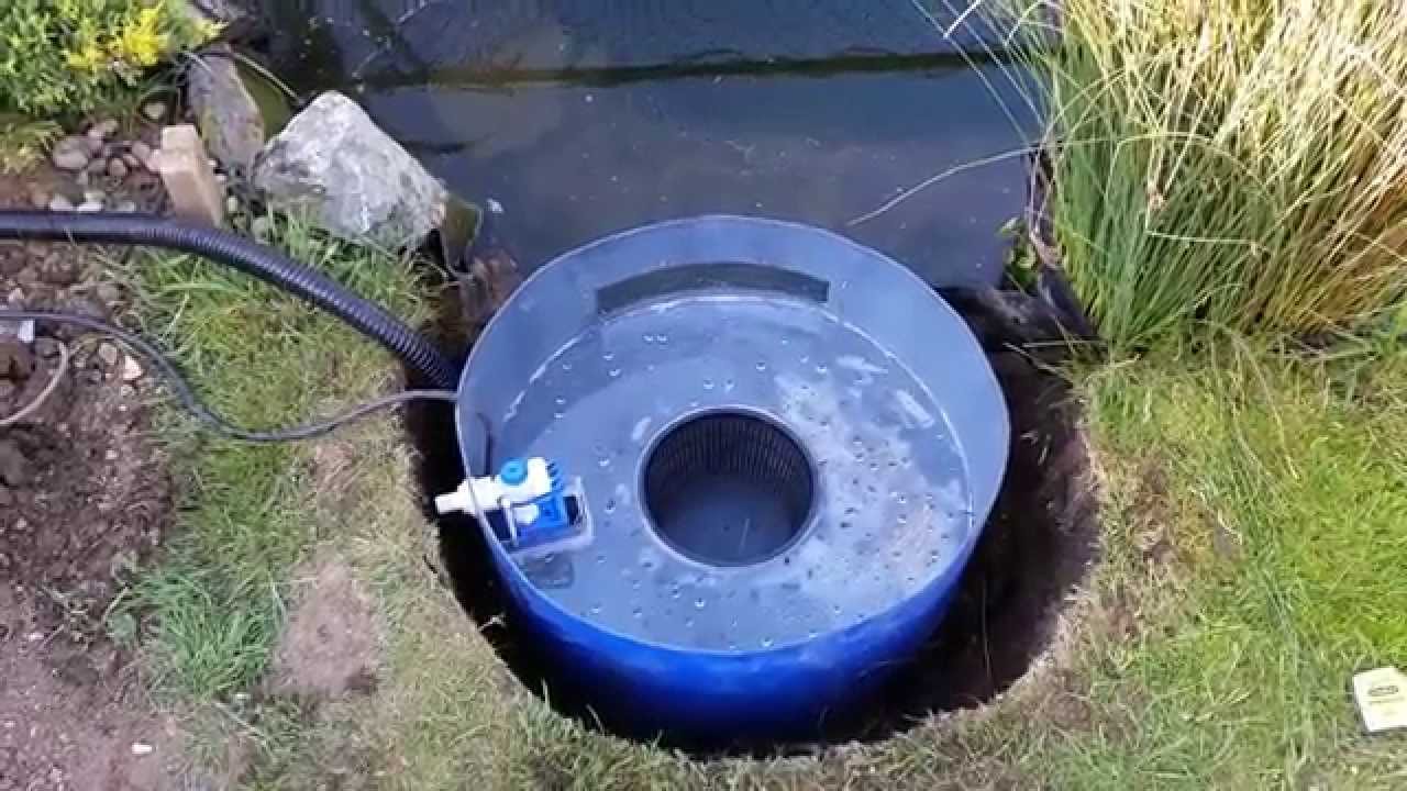 How to Build a Pond Skimmer: Easy DIY Guide