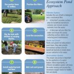 How to Build a Pond Step by Step